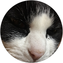 Kathleen H. profile picture